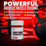 Man Sports | EcdyTurk Pro